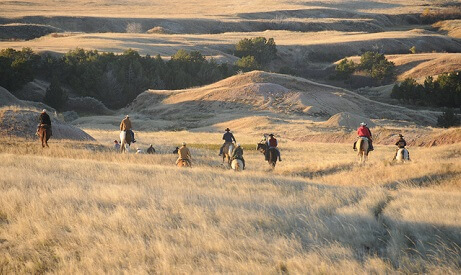 Horseback Safaris