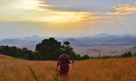 Walking Safaris