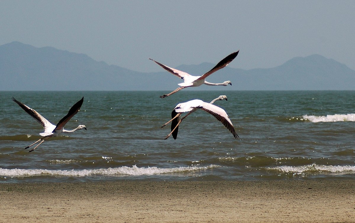 Lake Nakuru 